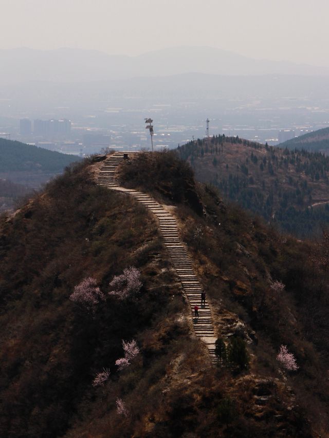 新密徐霞客古道 | 千年行旅遇上杏花海