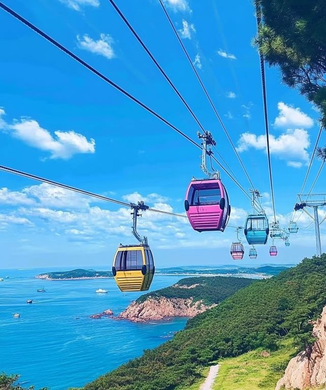 奔赴蔚藍海岸，邂逅法式浪漫