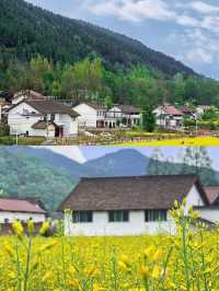 陝西漢中／3-4月來封神巴山秘境的治癒之旅