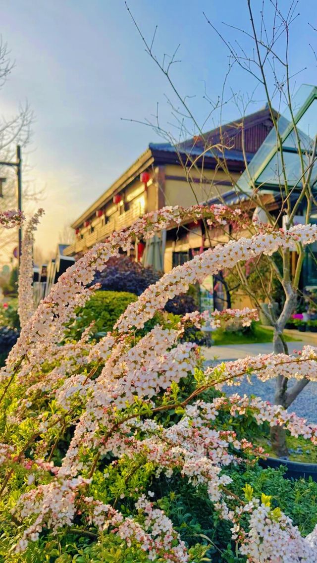 《太白山國家森林公園，這些實用資訊你還不知道？》