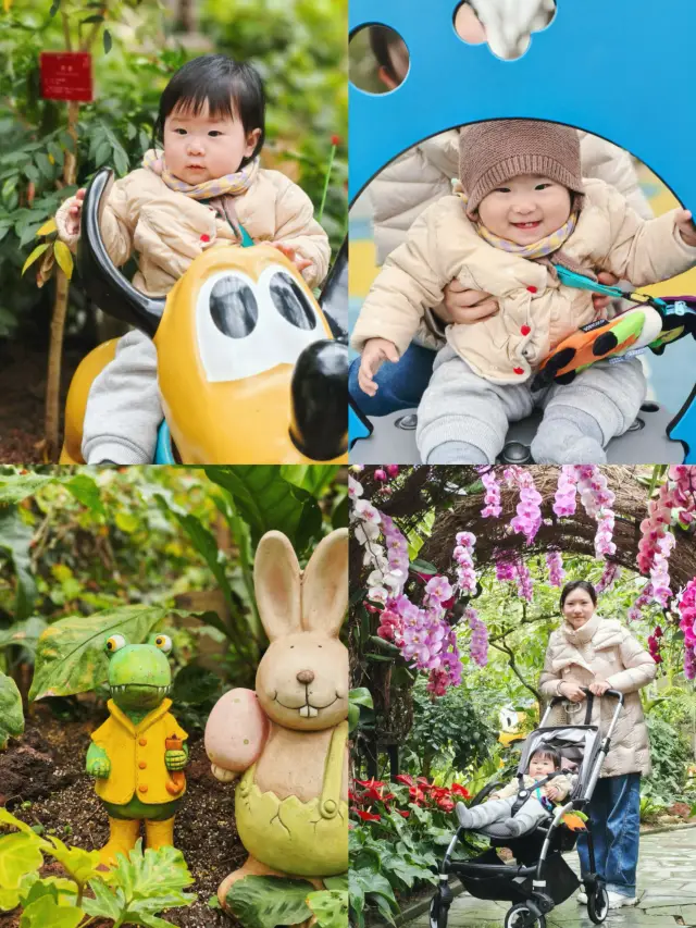 Shanghai Botanical Garden (Including Greenhouse) Guide｜An 11-Month-Old's Experience with Nature