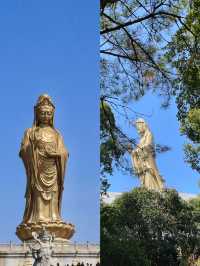 小長假來襲舟山2日遊全攻略速覽