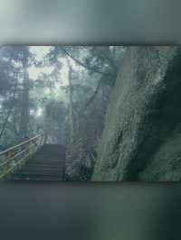 昌江小眾景點霸王嶺雨林秘境中的浪漫