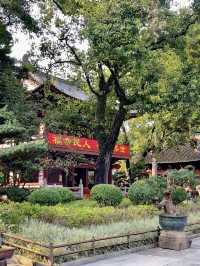 千載禪風：靜聽光孝寺的晨鐘暮鼓