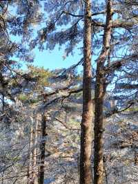 黃山3日遊 玩轉全景唔走冤枉路