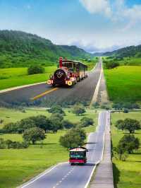 重慶武隆春日郊遊，包車攻略打包給您