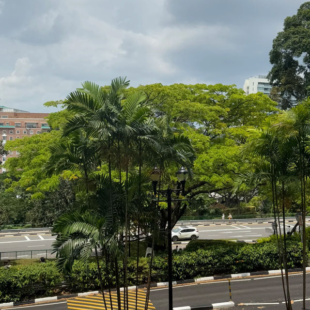 🇸🇬探秘新加坡 | 福康寧公園樹洞，藏在都市裡的綠野仙蹤