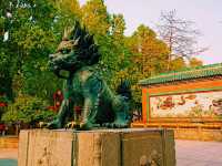 Ancestral Temple Museum: A Glimpse into China's Cultural Heritage