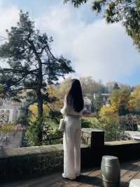 莫干山竹林秘境