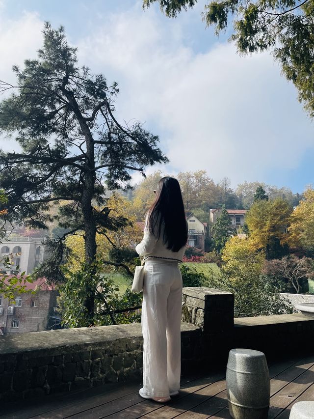 莫干山竹林秘境
