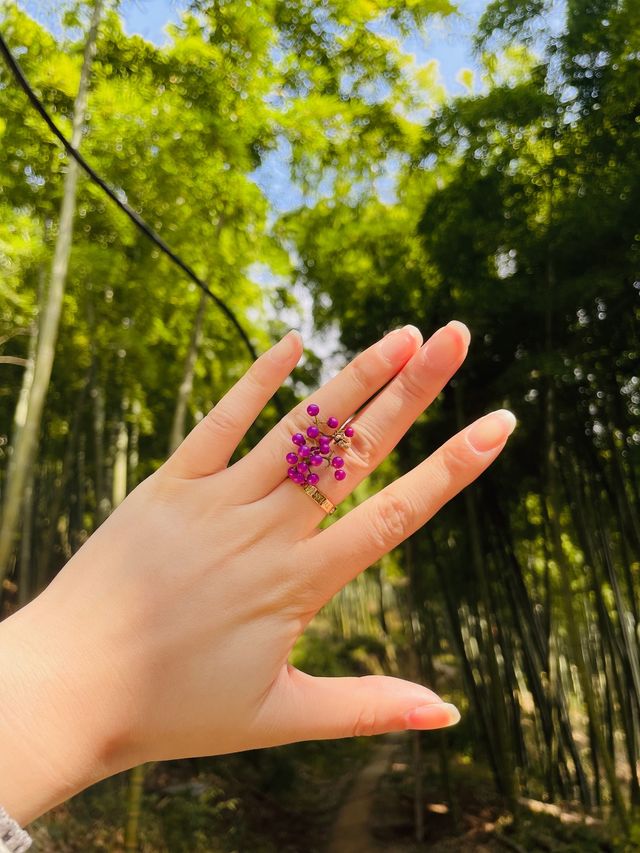 莫干山竹林秘境