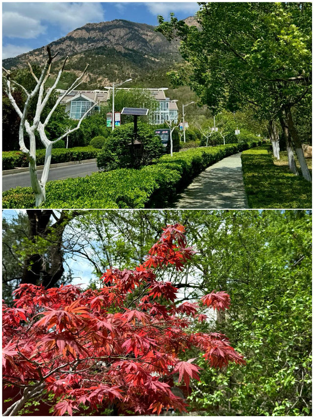泰山勸退！這幾天要來泰山的注意了...