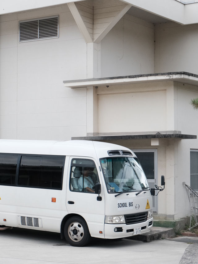 琉球大學賞櫻攻略：校園裡的粉色夢境✨
