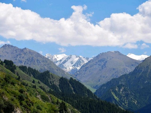 🌟【新疆探秘】天山天池，究竟值不值得？一日游避坑秘籍大公開！ 