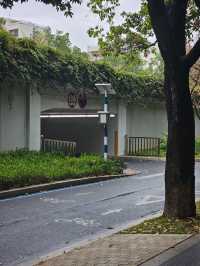 【深圳 10 公里可愛風徒步攻略】解鎖隱藏版「小豬」路線！