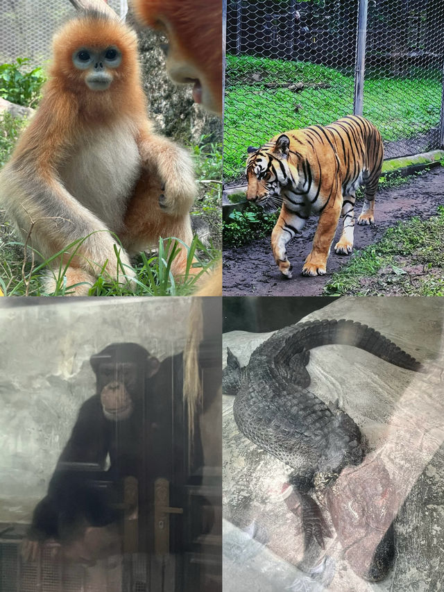 五一嘅快樂一定係動物園畀嘅