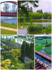 昆明寶豐濕地公園：滇池之畔的生態畫卷