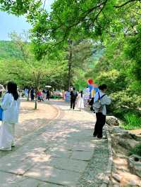 春日限定|杭州太子灣公園桃花觀賞攻略