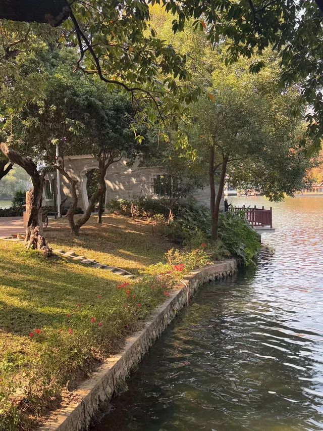 打卡荔灣湖公園 邂逅嶺南水鄉