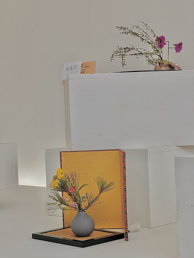 🌷香港花卉展 | 误入現實版莫奈花園