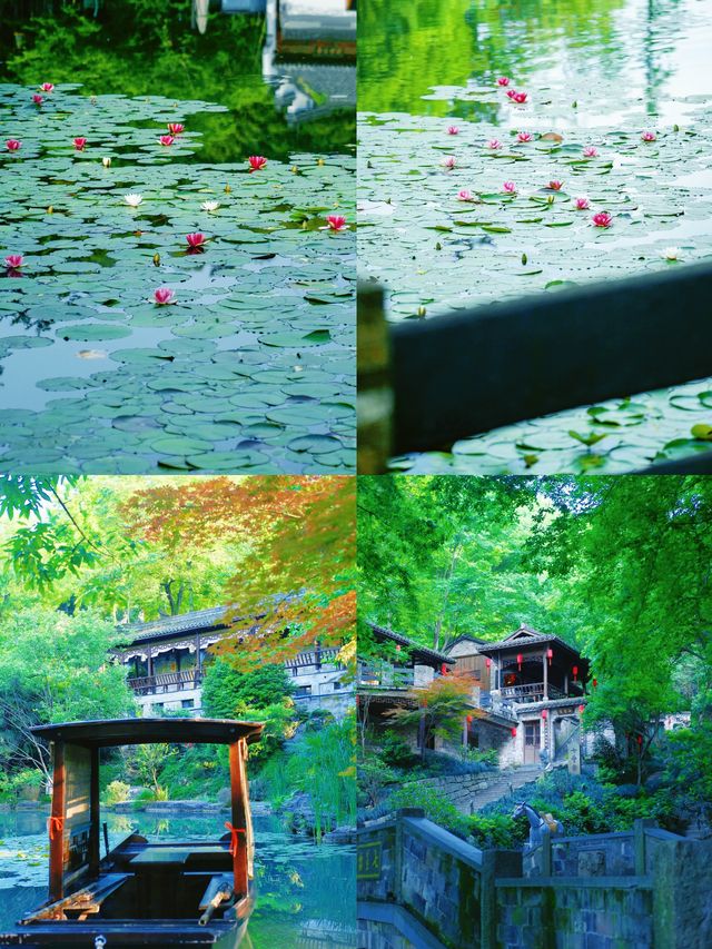 皖南小鎮限定闖進漫畫中的仲夏螢火之森