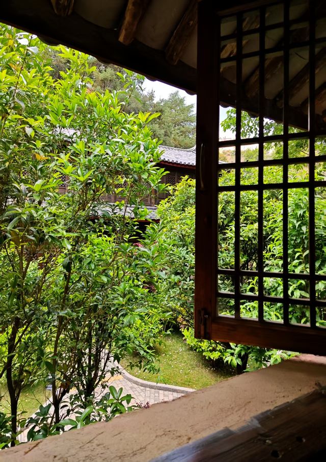 框景——窗外微世界