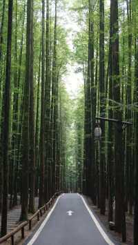 山王坪玩樂解鎖：露營、觀景、尋幽全攻略