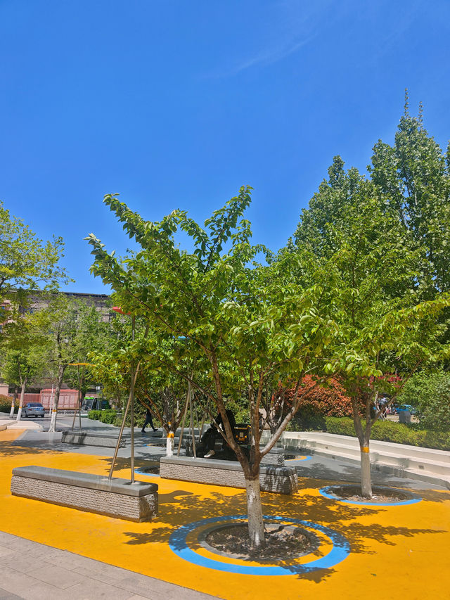 濰坊知微園｜小眾寶藏園林打卡攻略