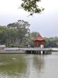 五一去番禺蓮花山睇花海真係超級靚🪷