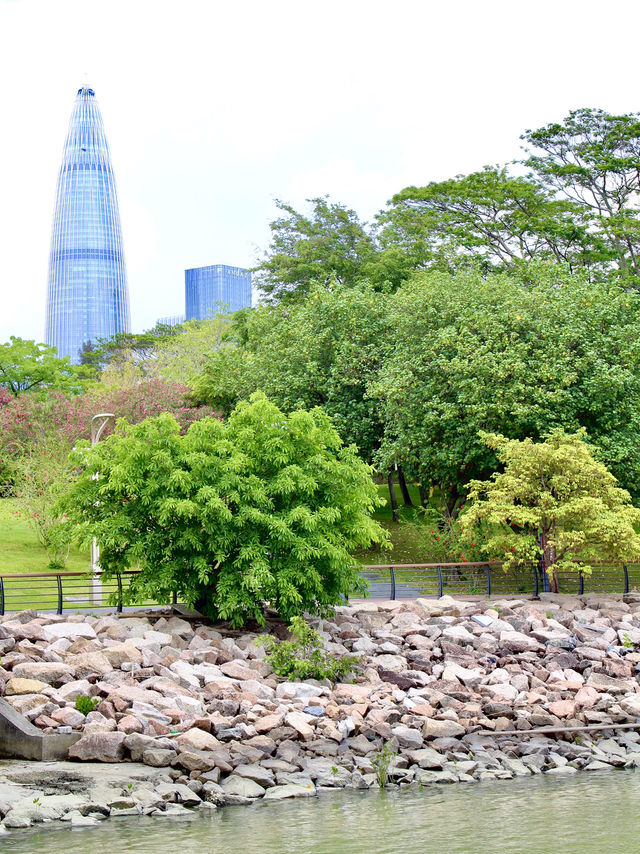An ideal place for weekend in Shenzhen 