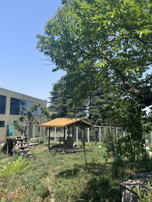 五月出遊第一站，秦嶺野生動物園嗨翻天！