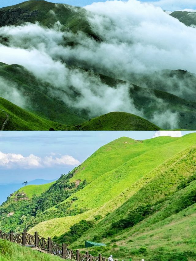 邂逅人間仙境，武功山敢挑戰嗎？