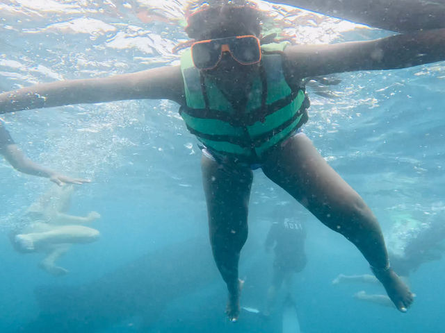 The majestic Oslob Whale-sharks 