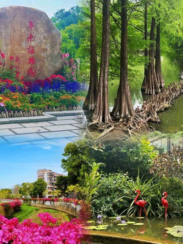 🏞South China Botanical Garden is Bsautiful🎊