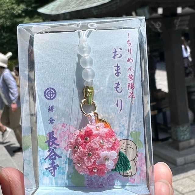 🌺鎌倉繡球花祭！明月院×長谷寺絕美賞花攻略+隱世民宿推介✨