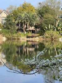 帶狗狗住進油畫裡的春天係咩體驗