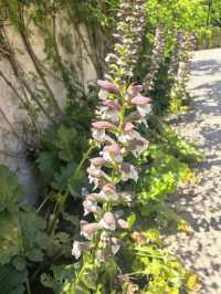 西班牙塞維利亞王宮後花園