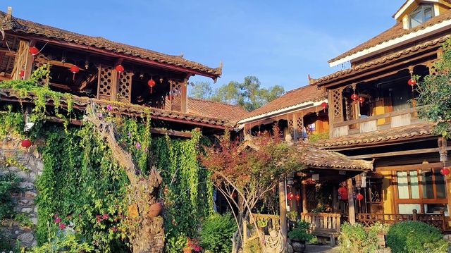 普者黑旅遊大揭秘：隱藏喺山水間嘅神秘角落