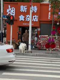 A Hidden Gem in Northeastern China – Mishan