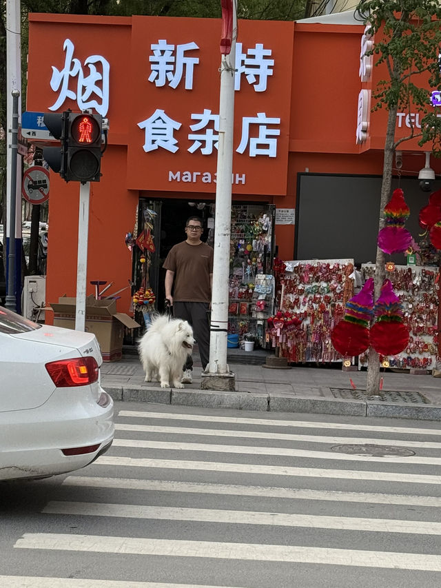  A Hidden Gem in Northeastern China – Mishan