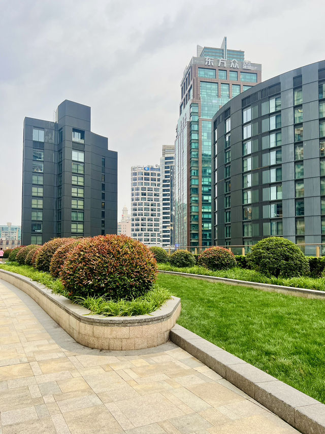 Secret Garden in Taikoo Hui Mall - A Pet Haven