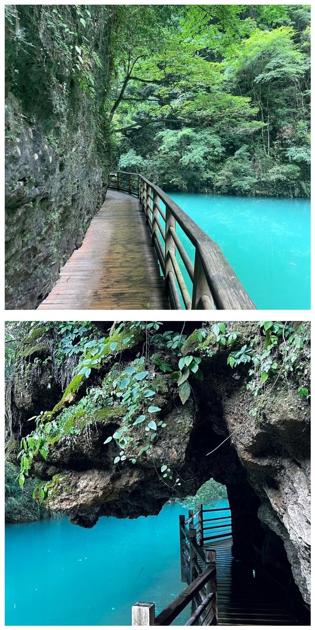天上人間張家界 心之所向天門山