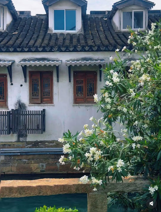 焦溪水影 | 船槳搖出江南夢