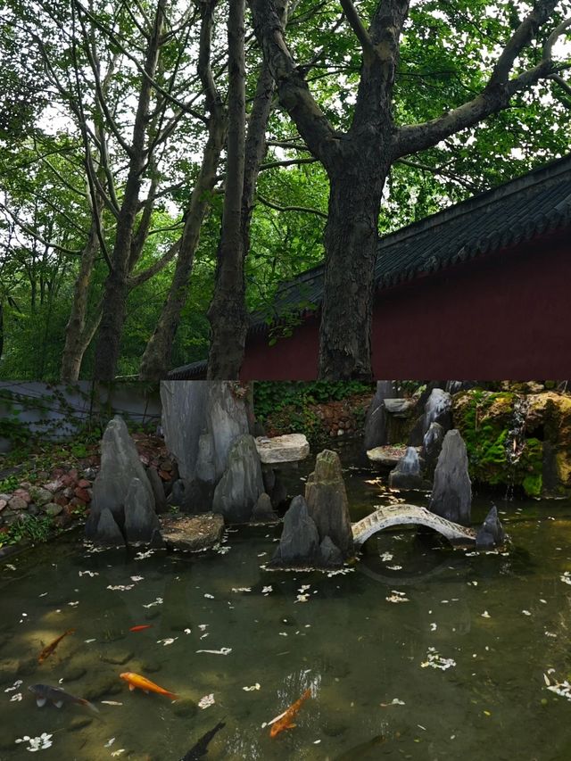 喺安丘玩咗兩日，我嘅消費觀崩塌咗