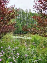 Some places are too peaceful to be famous: Discover a Hidden Gem 40 min from Yiwu