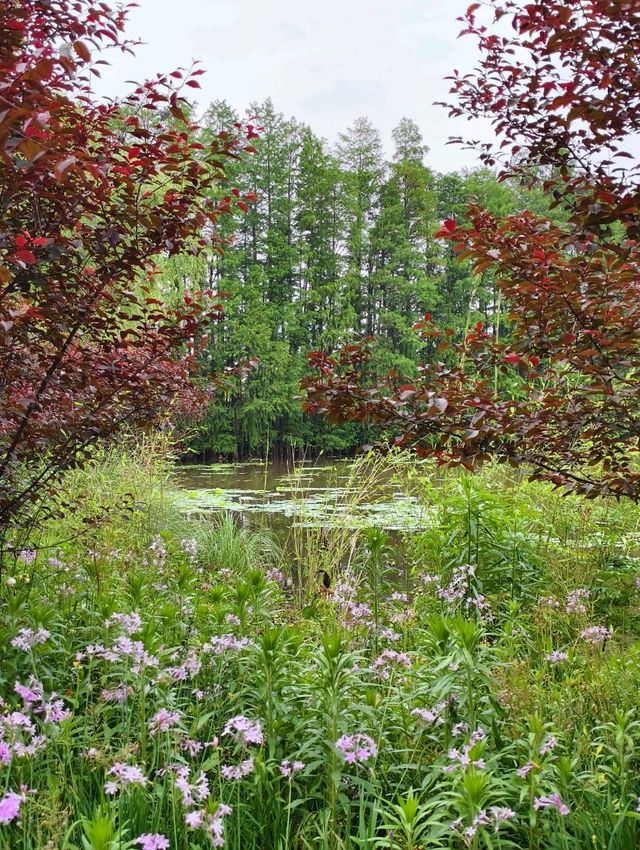 Some places are too peaceful to be famous: Discover a Hidden Gem 40 min from Yiwu