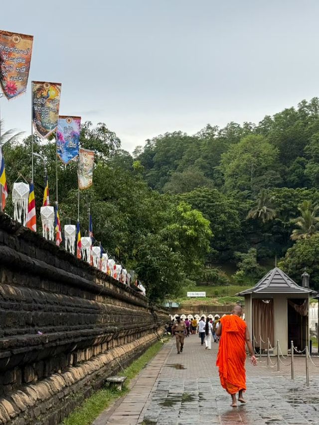 呢個破產國家又免簽啦，低消費，中國人話走就走！