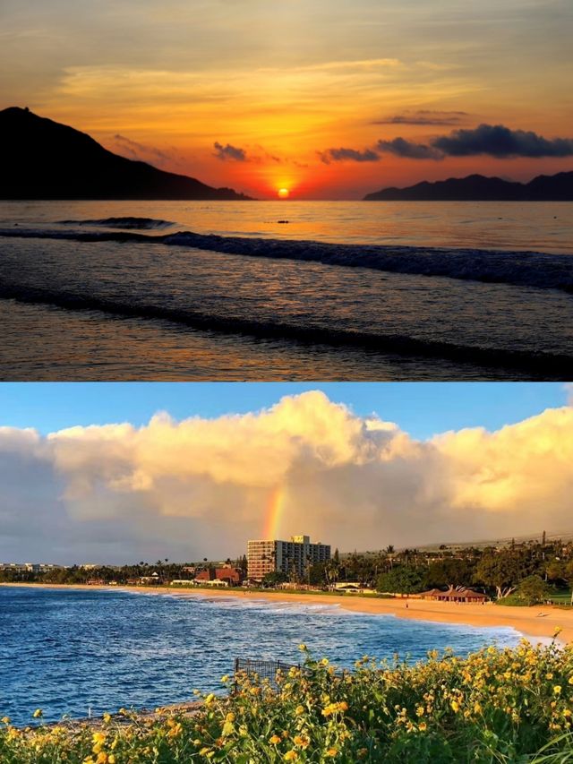 除咗威基基嘅浪，夏威夷仲有幾多被火山石封印嘅海洋秘境？