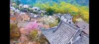 邂逅篁嶺，赴一場夢幻的田園之約   踏入篁嶺，彷彿穿越時空，走進了一幅被歲月珍藏的江南畫卷。連綿的山