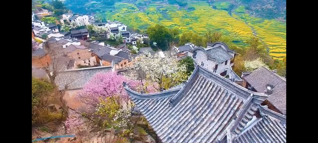 邂逅篁嶺，赴一場夢幻的田園之約   踏入篁嶺，彷彿穿越時空，走進了一幅被歲月珍藏的江南畫卷。連綿的山